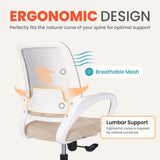 Ergonomic Mesh Office Chair - Mid-Back Desk Chair with Lumbar Support (Beige)