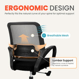 Ergonomic Mesh Office Chair - Mid-Back Task Chair with Lumbar Support (Black)
