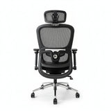 Aerovith Ergonomic Mesh Office Chair Black back View Professional Workspace
