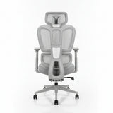 Ergonomic Grey Mesh Office Chair back View Light Workspace