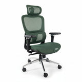 Aerovith Ergonomic Mesh Office Chair Green 45 Degree Angle Home Office Desk